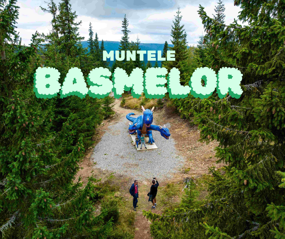 banner-Muntele-Basmelor.png