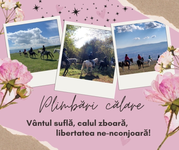 initiere in calarie