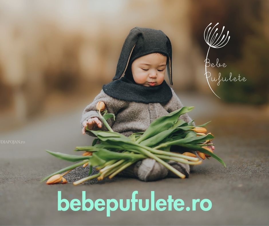 banner-bebepufulete-patrat.jpeg