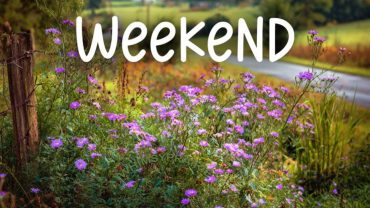 Direcții simple și eficiente pentru acest weekend